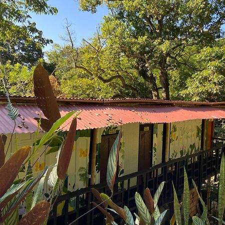 Hostal Las Mariposas 米卡 外观 照片