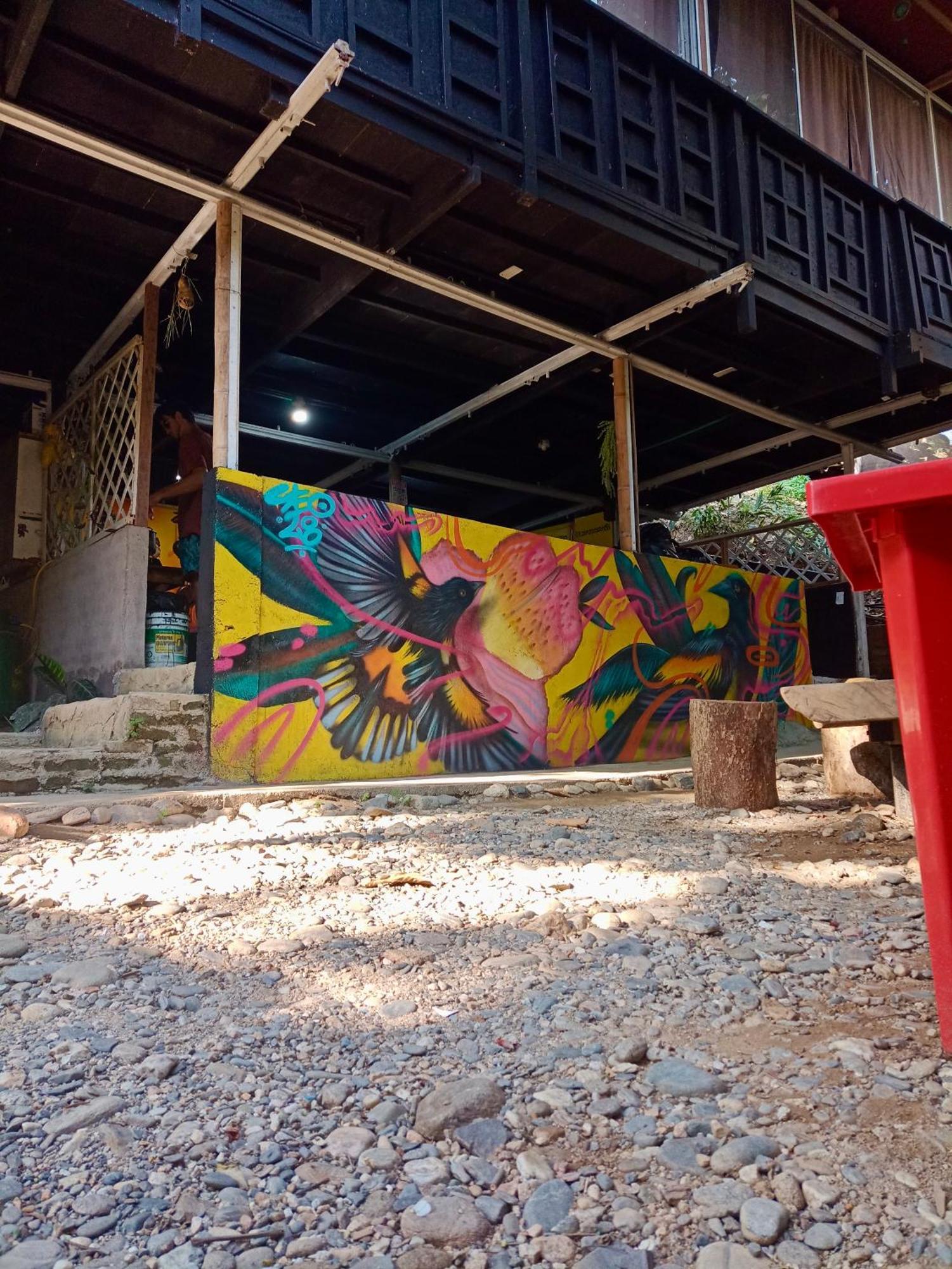 Hostal Las Mariposas 米卡 外观 照片