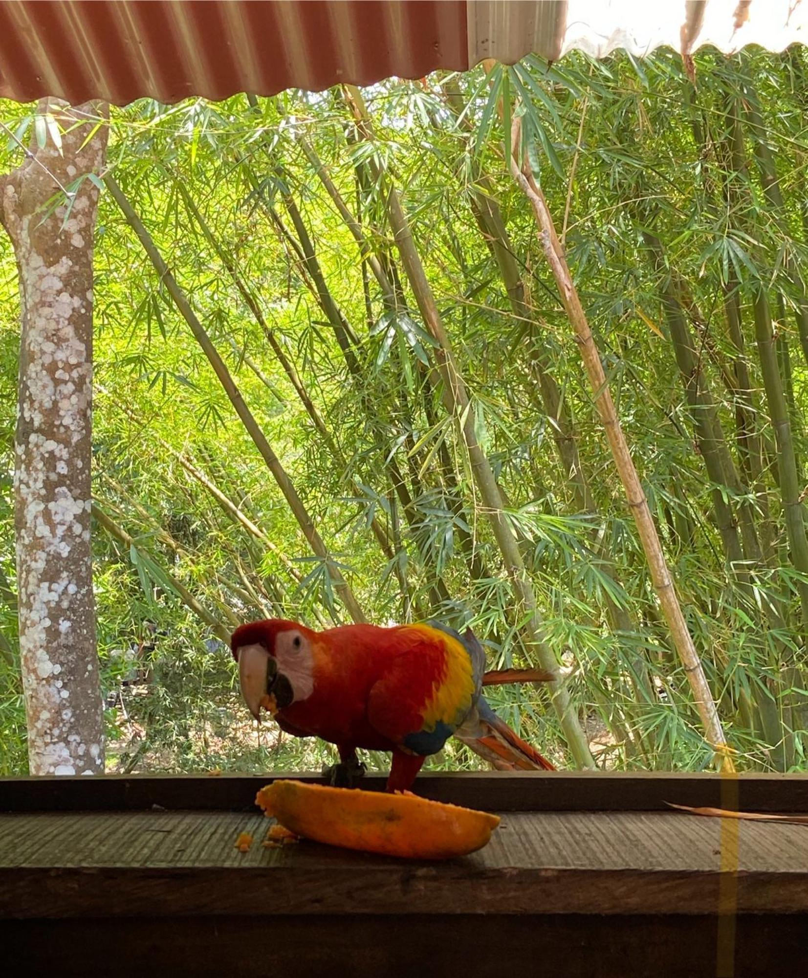 Hostal Las Mariposas 米卡 外观 照片