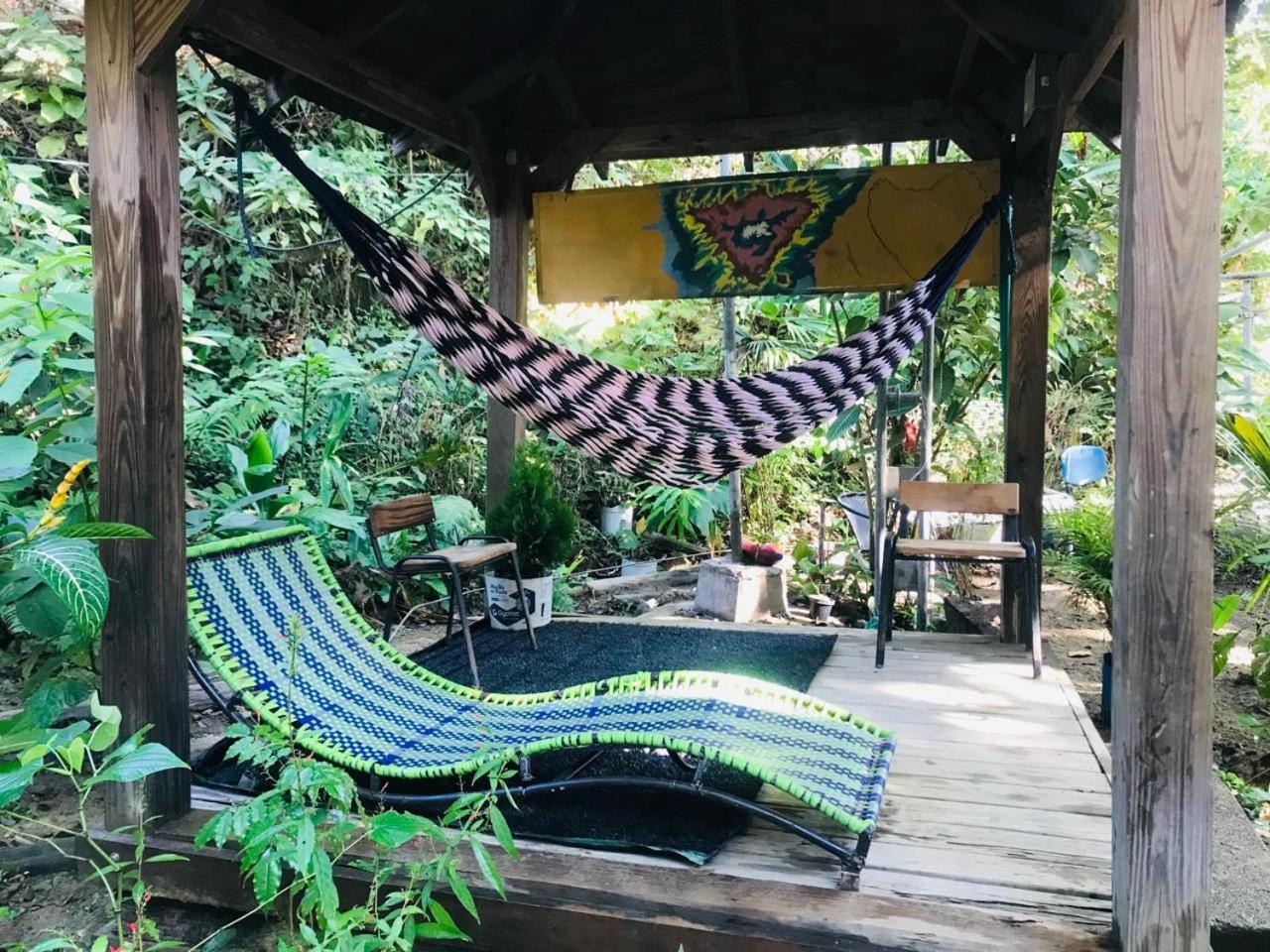Hostal Las Mariposas 米卡 外观 照片
