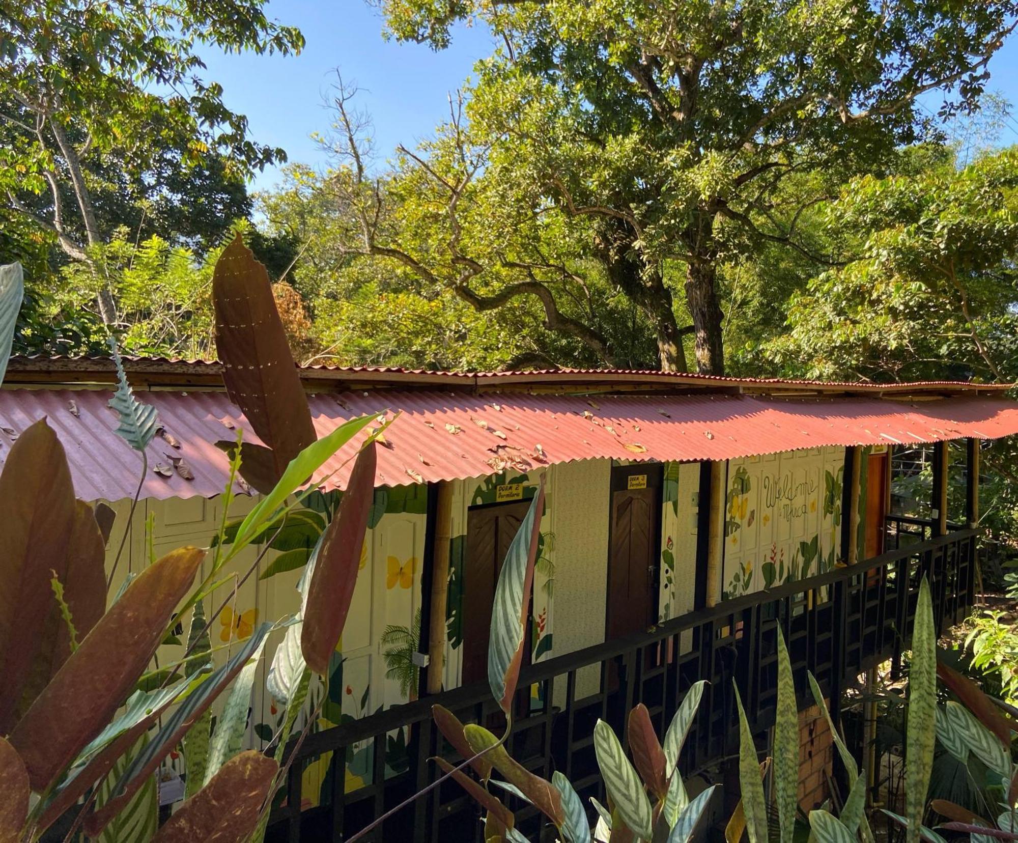 Hostal Las Mariposas 米卡 外观 照片