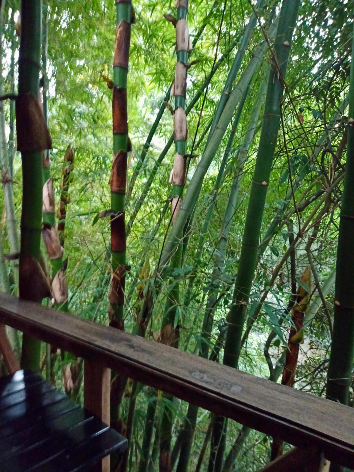 Hostal Las Mariposas 米卡 外观 照片