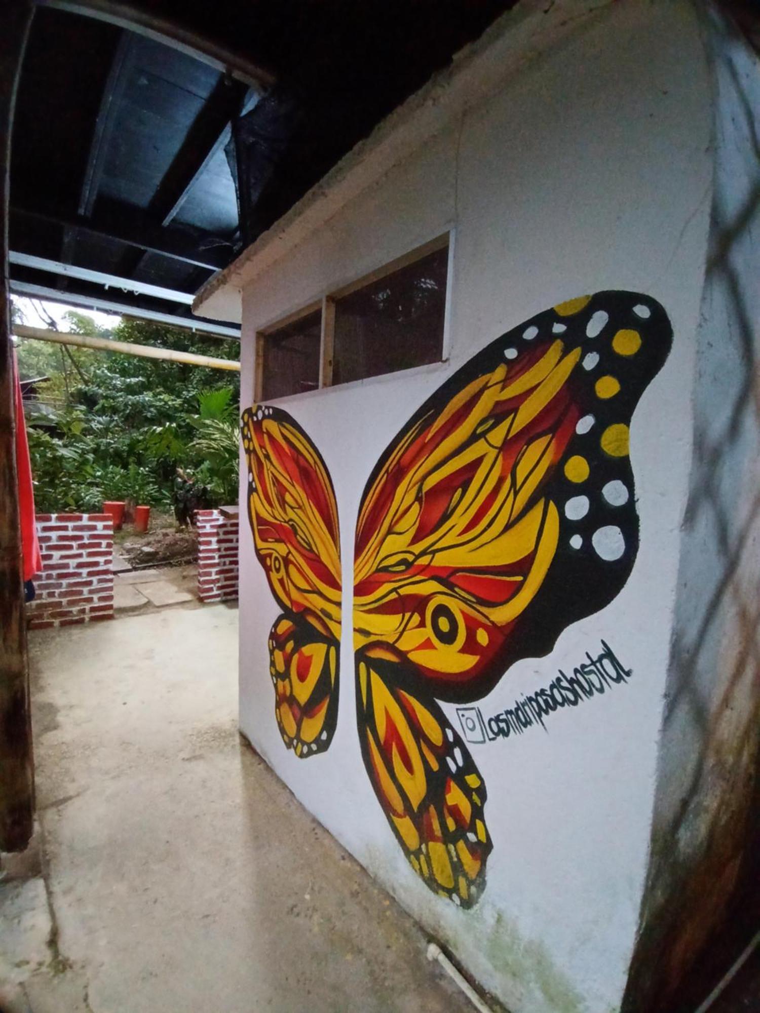 Hostal Las Mariposas 米卡 外观 照片