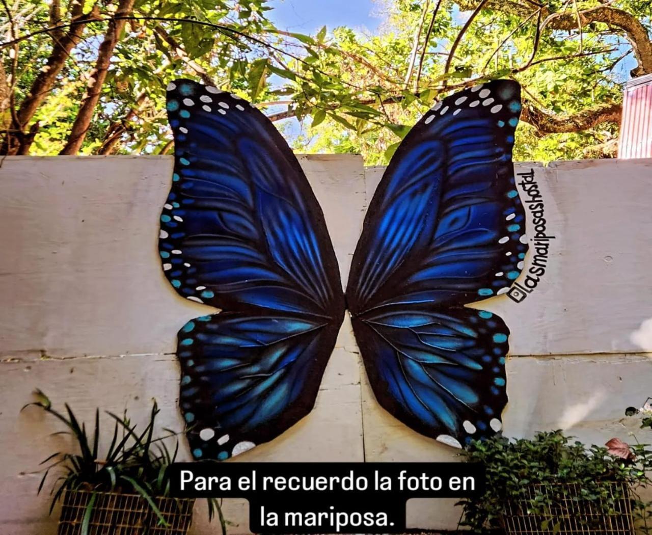 Hostal Las Mariposas 米卡 外观 照片