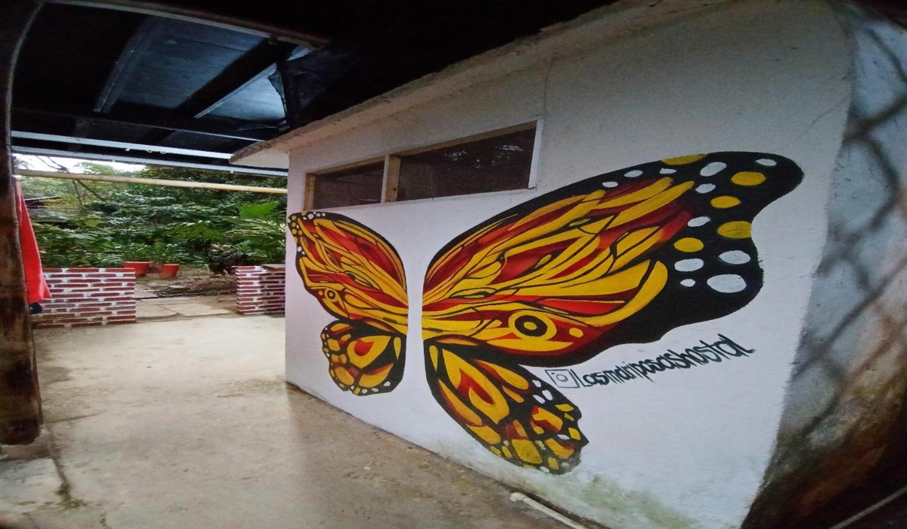 Hostal Las Mariposas 米卡 外观 照片